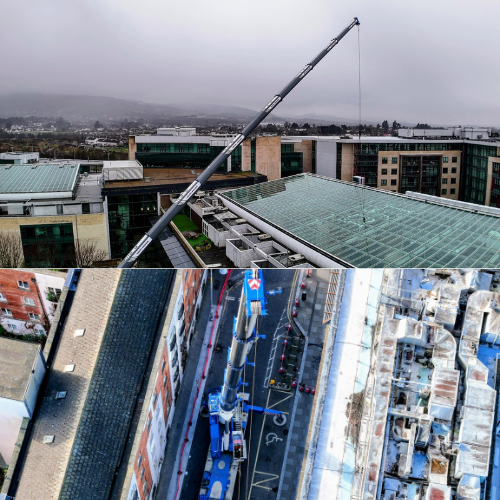 Untitled design - 2025-05-15T100022.241