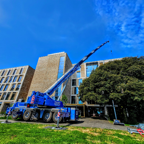 Untitled design - 2025-05-15T100028.732