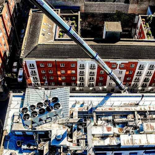 Untitled design - 2025-05-15T100037.445