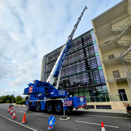 Untitled design - 2025-05-15T100045.125