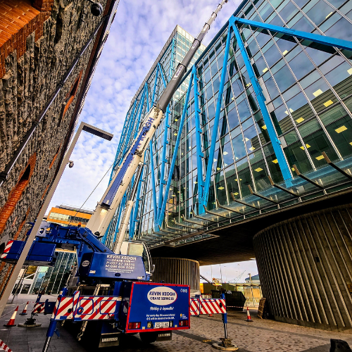 Untitled design - 2025-05-15T100050.927