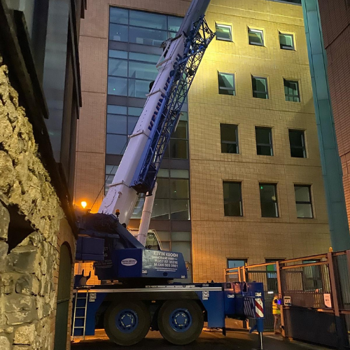 Untitled design - 2025-05-15T100113.161