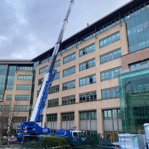 Untitled design - 2025-05-15T100119.069